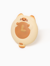 Cat Clock Slow Rising