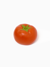 Handmade Tomato Taba Squishy