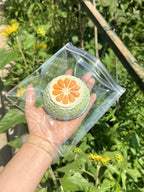 Starry Garden Sugared Citrus Pudding Taba Squishy Stress Relief Toy