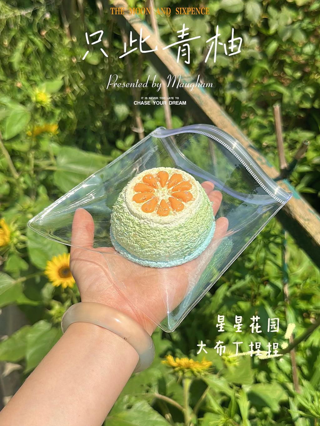 Starry Garden Sugared Citrus Pudding Taba Squishy Stress Relief Toy
