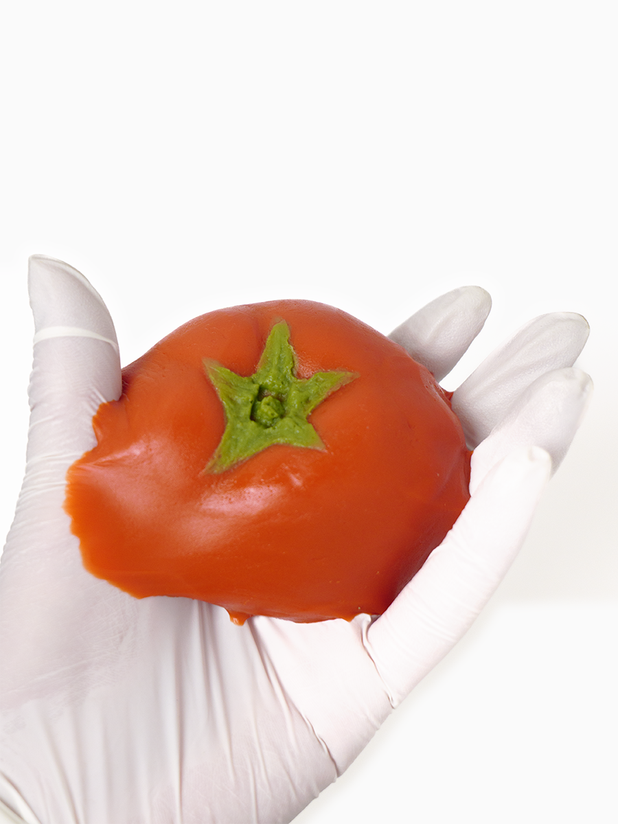Handmade Tomato Taba Squishy