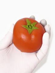 Handmade Tomato Taba Squishy