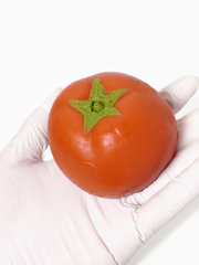 Handmade Tomato Taba Squishy