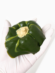 Handmade Green Pumpkin Taba Squishy
