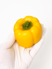 Handmade Yellow Bell Pepper Taba Squishy