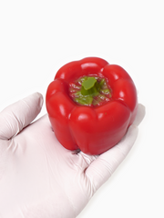 Handmade Red Bell Pepper Taba Squishy