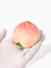 Handmade Peach Taba Squishy