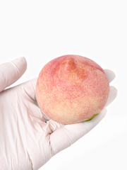 Handmade Peach Taba Squishy
