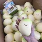 Adorable Sprouting Garlic Clove Slowrising Squishy Toy