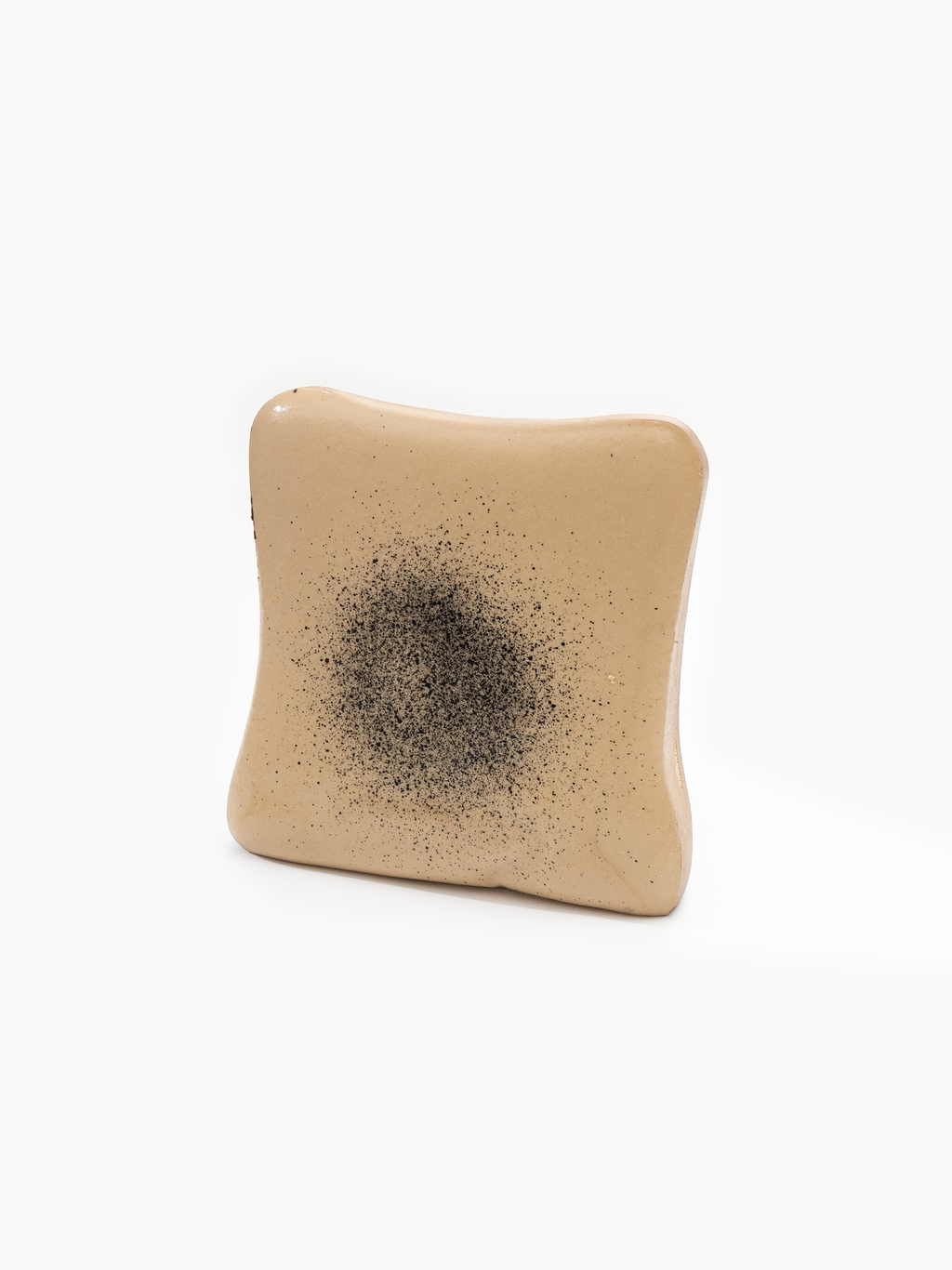 Cozy Mocha Dusted Toast Slowrising Squishy