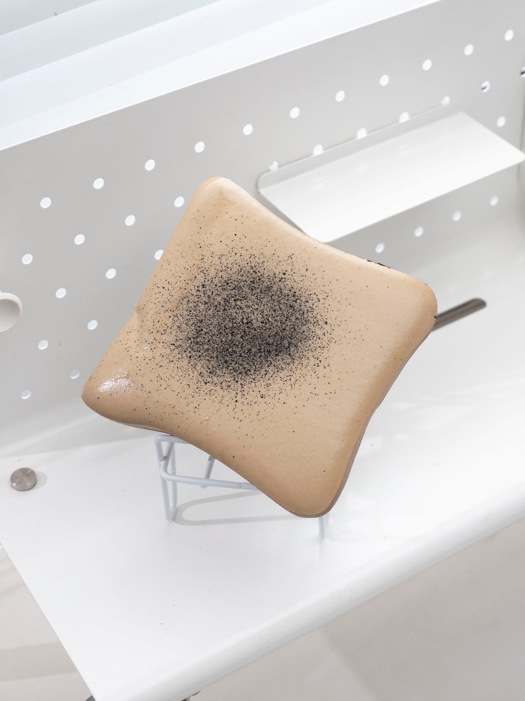 Cozy Mocha Dusted Toast Slowrising Squishy
