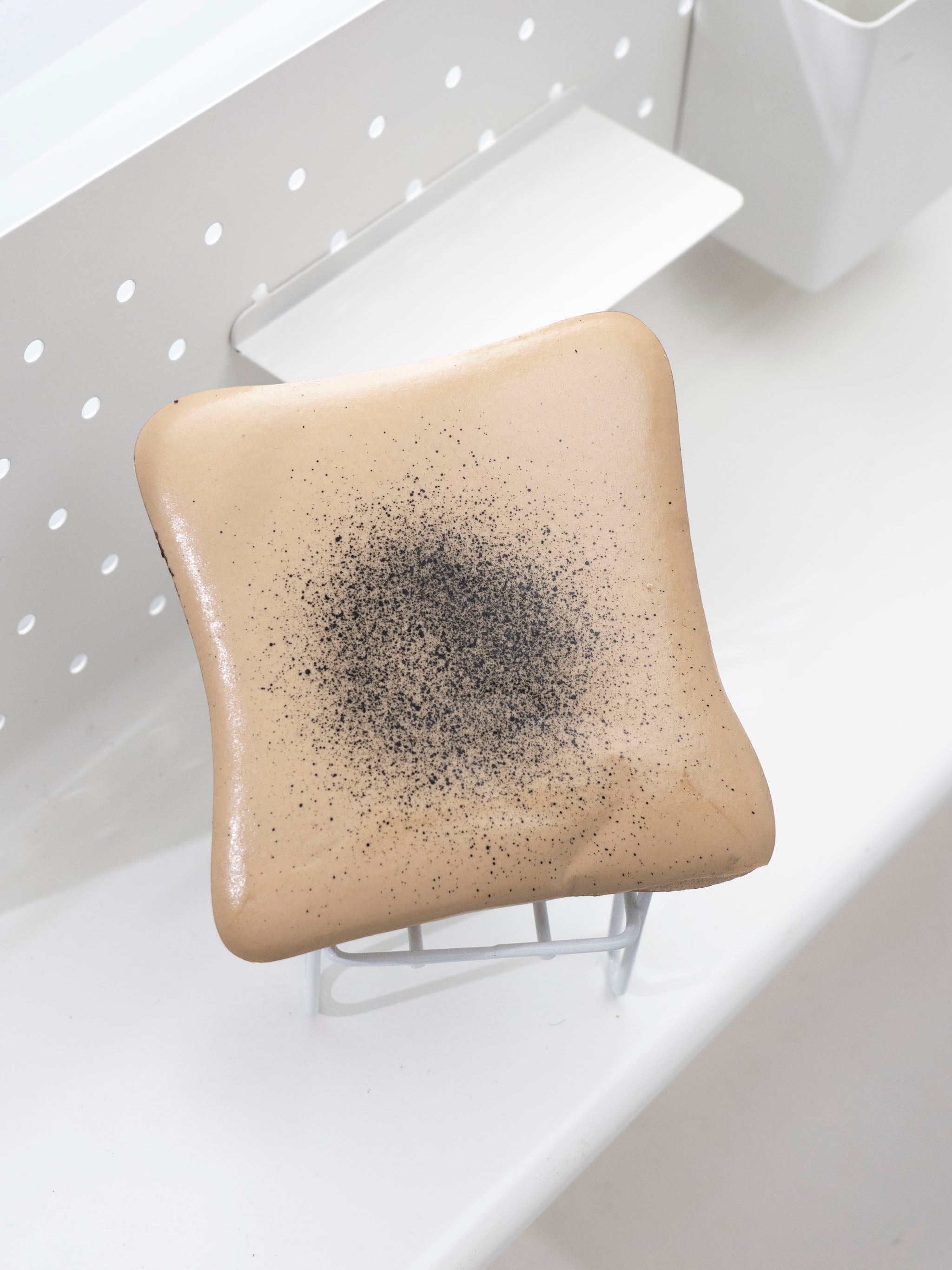 Cozy Mocha Dusted Toast Slowrising Squishy